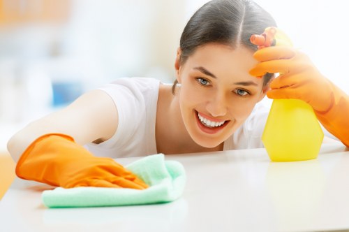 Cleaner working carefully while protecting furniture and surfaces