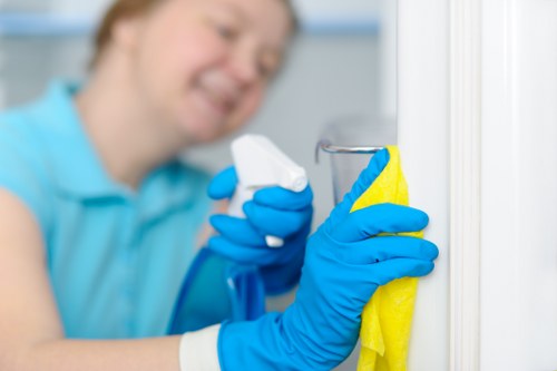Domestic cleaning service for homes in Kingston upon Thames