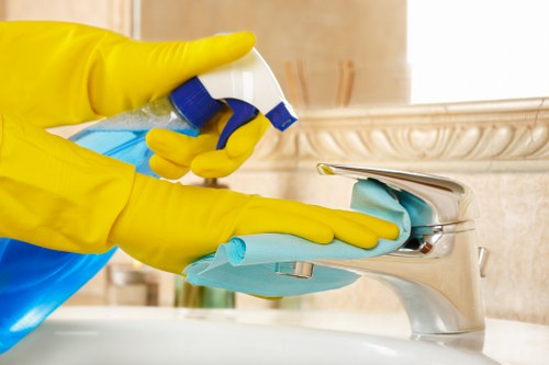 Local oven cleaning service for a modern kitchen in Kingston upon Thames