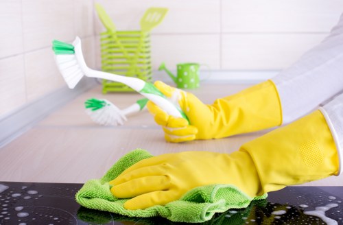 Commitment to ethical and lawful cleaning services
