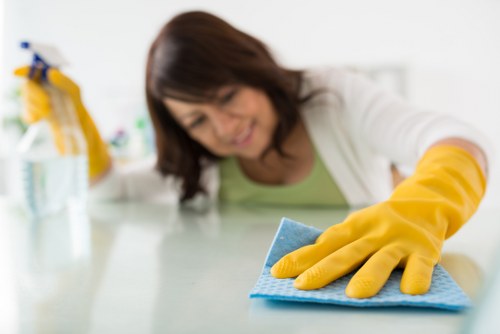 Accepted payment methods for Kingstonuponthames Cleaner including Visa and PayPal