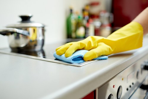 Detailed cleaning service work in a Kingston upon Thames property interior