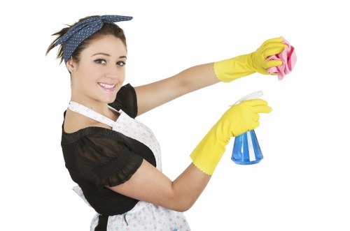 Detailed cleaning work in a Kingston upon Thames property with dusting and surface care