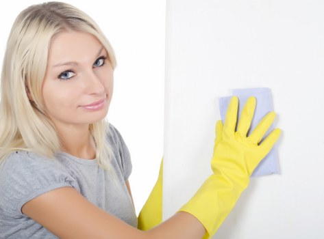 Eco-friendly domestic cleaning supplies in Kingston upon Thames